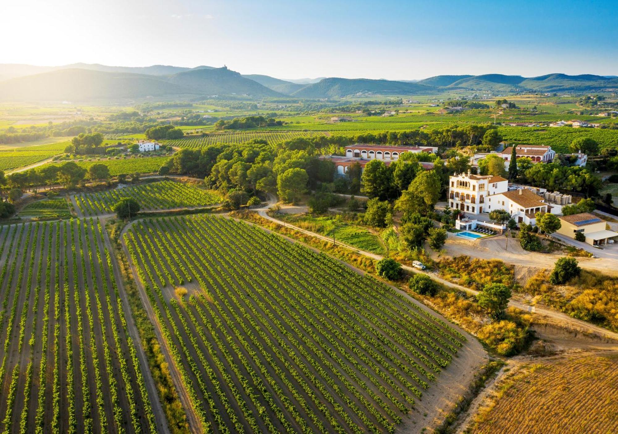 Bed and Breakfast Bolet Casa Modernista Castellvi de la Marca Esterno foto